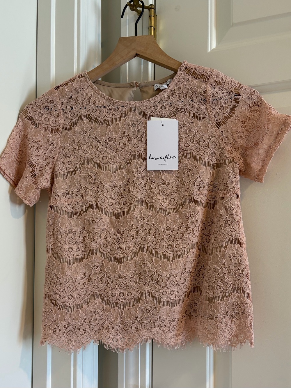 NWT Anthropologie Love Fire Lace Blush Short Sleeve Top (XS)